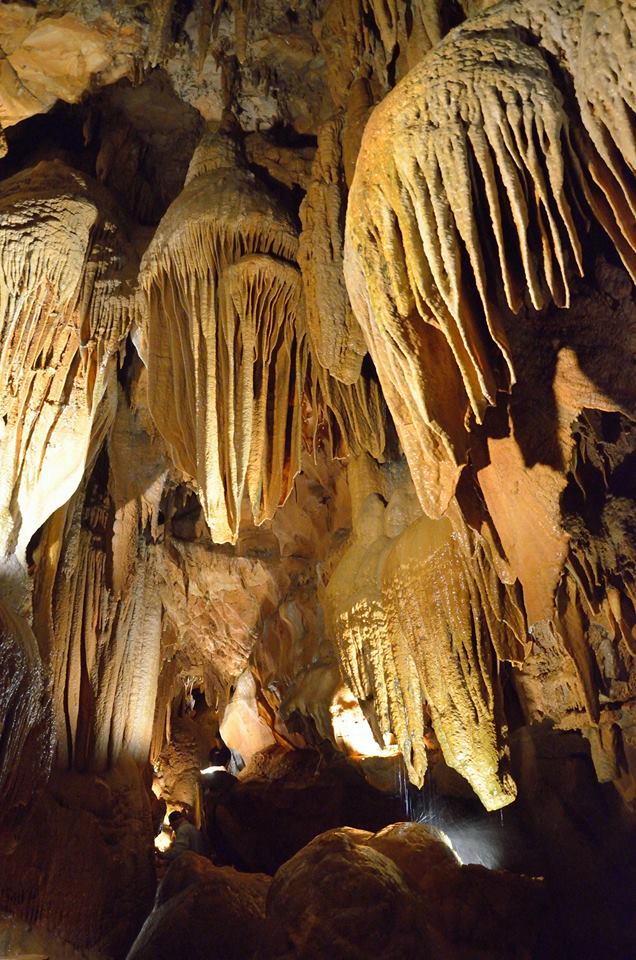 Cave Tours | Historic Diamond Caverns | Open Year Round